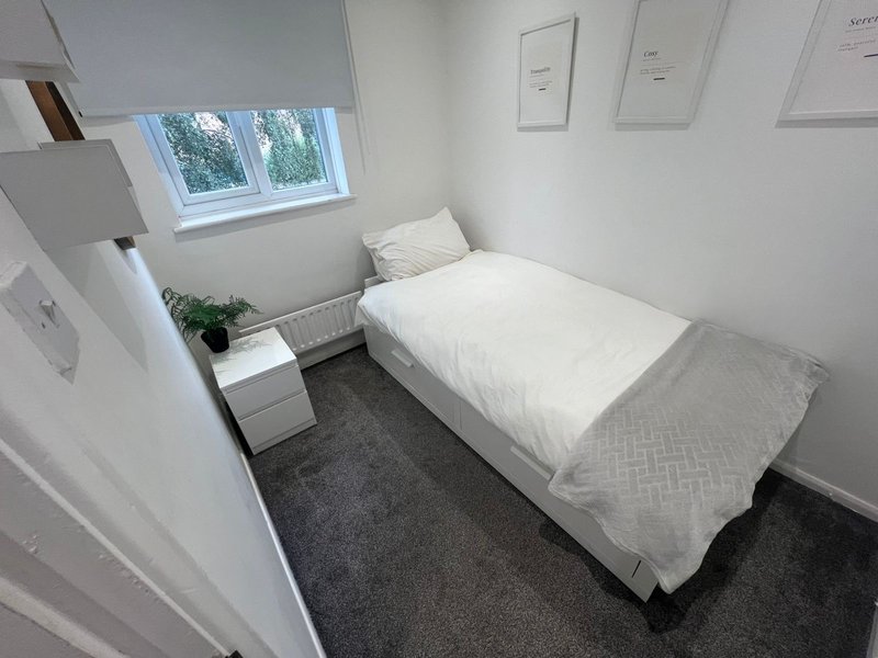 Compact bedroom with single bed, white bedding, window, potted plant and dark carpet