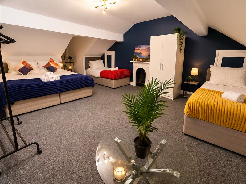 Multi-bed accommodation room with navy accent wall, potted plant, and modern furnishings