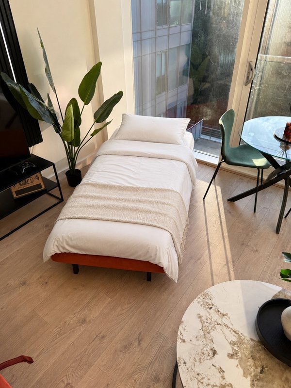 Bright bedroom with single bed, potted plants, wooden floor and large windows