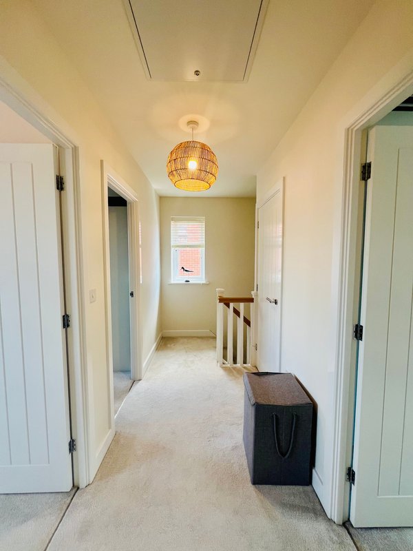 Bright hallway with white doors, pendant light fixture, and carpet flooring