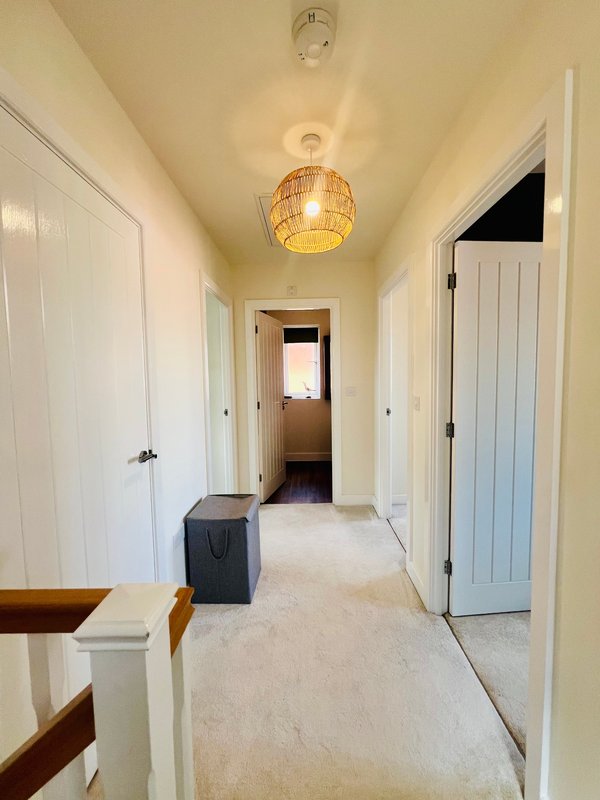 Bright hallway with white doors, pendant light fixture, and cream carpet flooring
