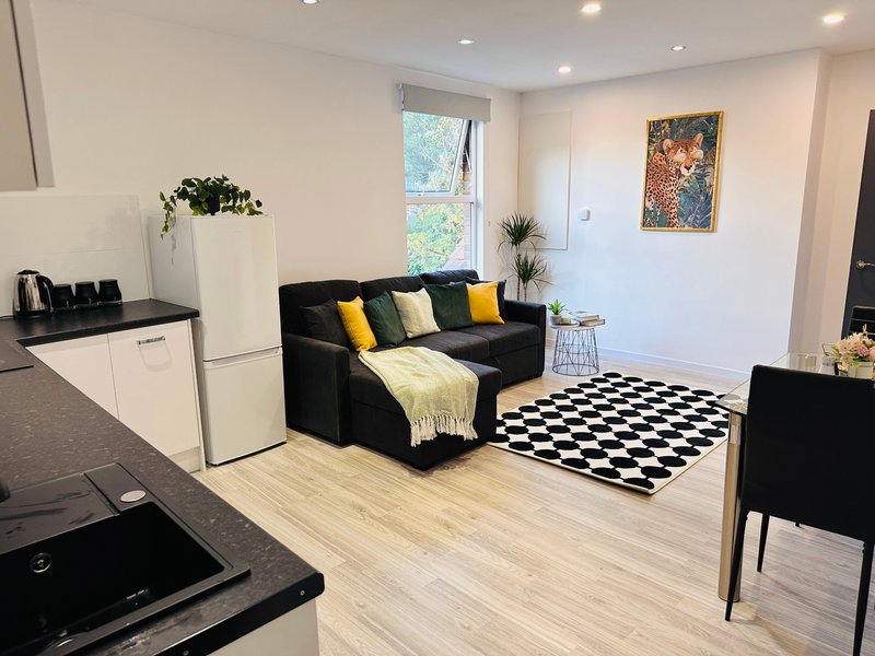 Open-plan living area with black sofa, kitchen, dining chair and checkered rug