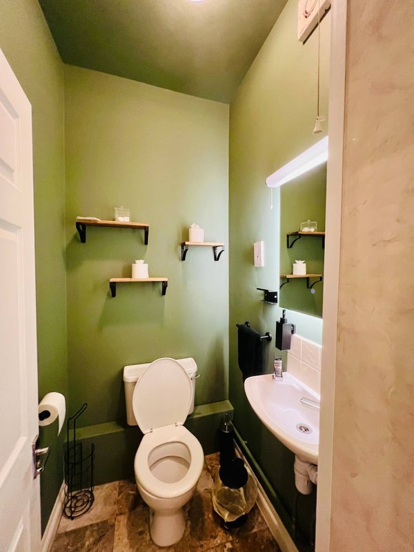 Small bathroom with green walls, toilet, sink, mirror and wooden shelves