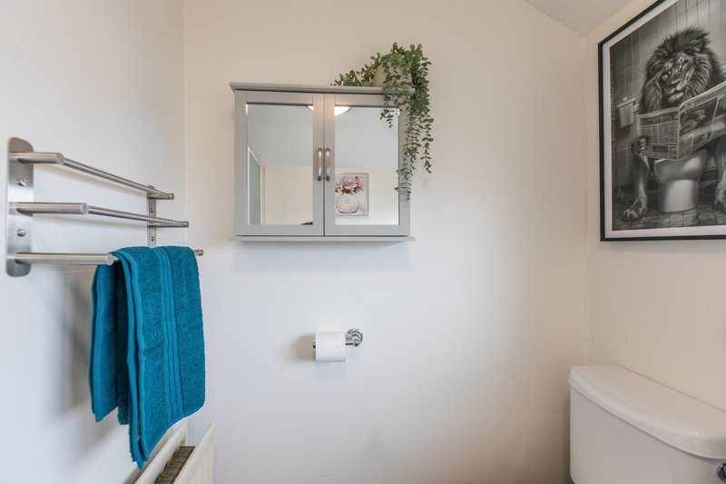 Clean bathroom with white toilet, mirrored medicine cabinet, towel rail and framed artwork