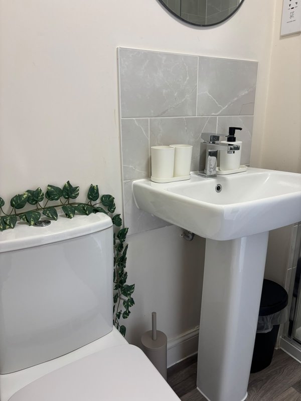 Modern bathroom with white pedestal sink, toilet, grey tile backsplash and potted plant