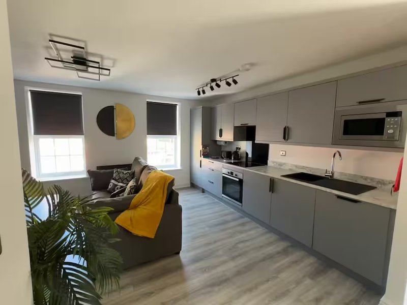 Open-plan kitchen and living area with grey cabinetry, modern appliances, sofa with yellow throw, and potted plant