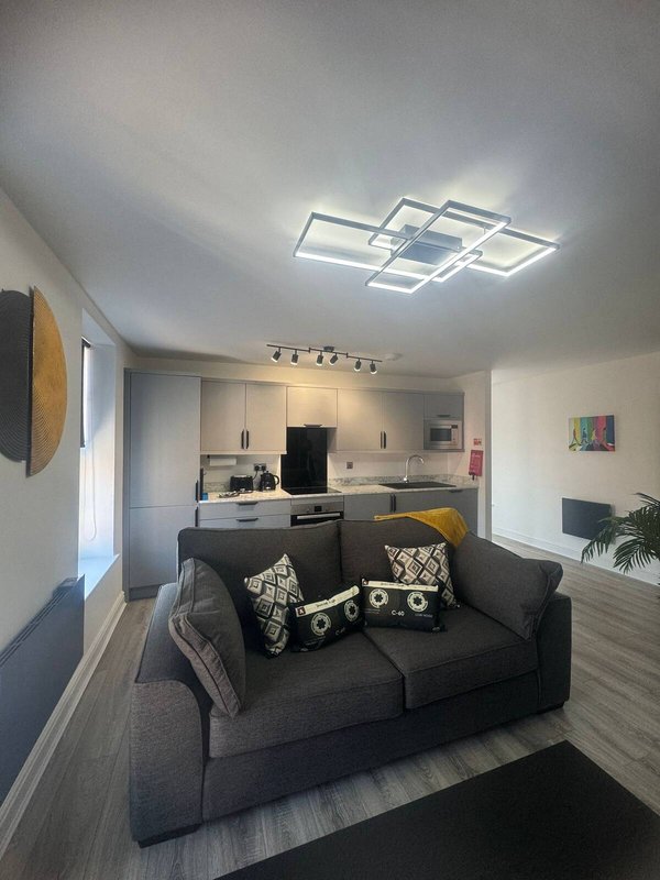Open-plan living area with dark sofa, modern ceiling lights, kitchen, and potted plant