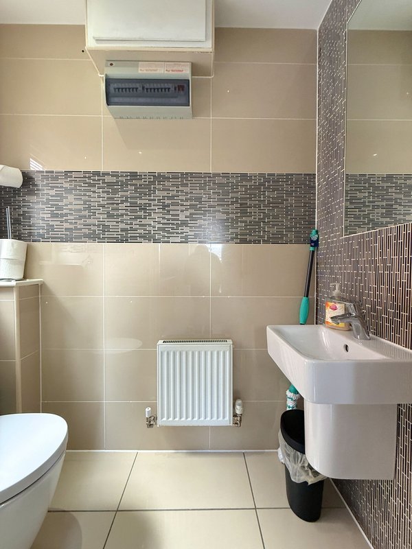 Modern bathroom with toilet, pedestal sink, radiator and mosaic tile accents