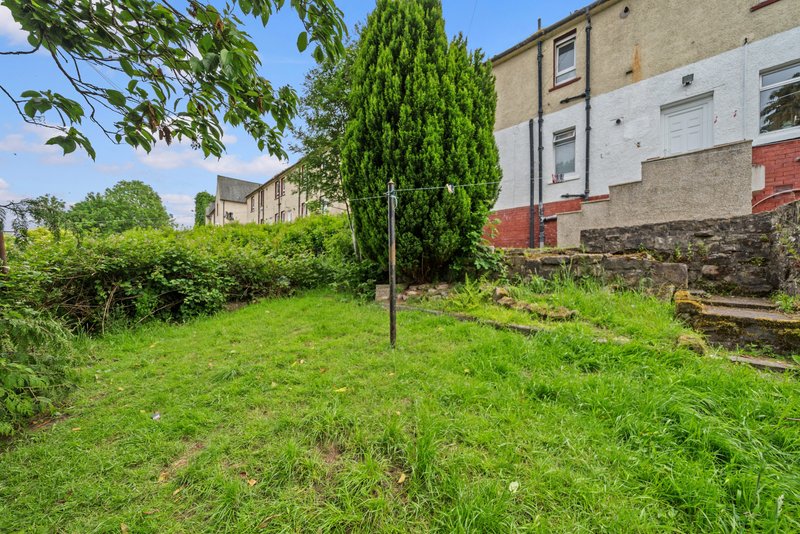 Overgrown garden with green grass, tree, and stone-built residential buildings