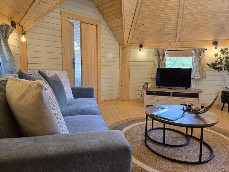Modern wooden cabin interior with gray sofa, TV stand, coffee table and ambient lighting