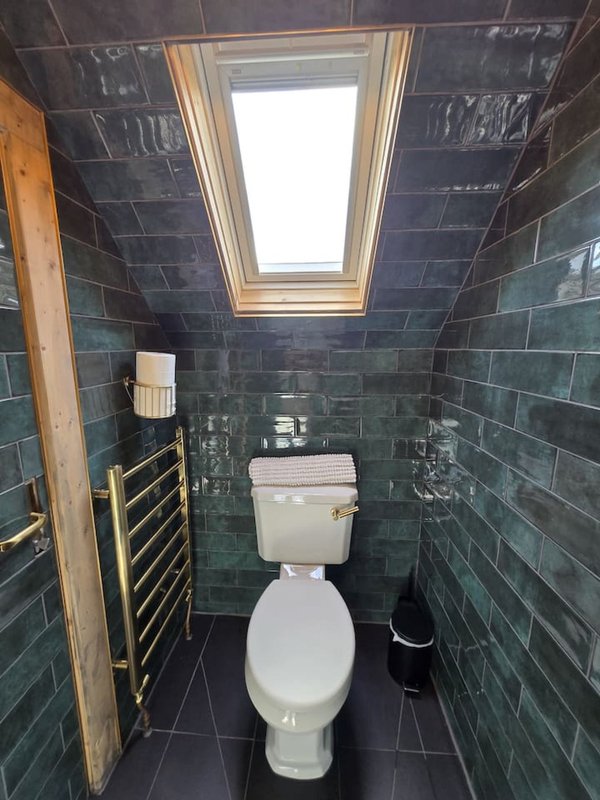 Compact bathroom with dark tiled walls, white toilet, heated towel rail and skylight window