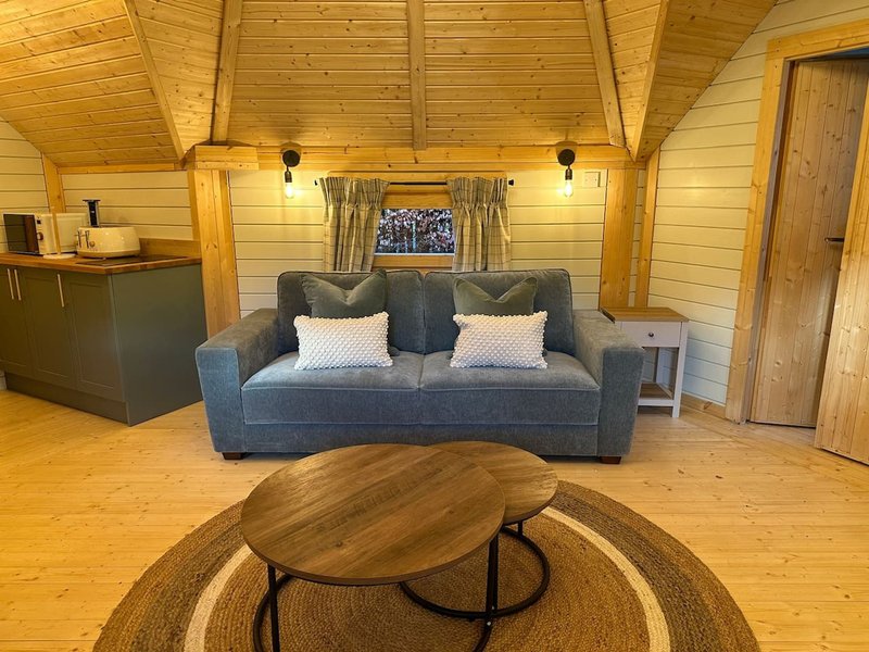 Wooden cabin interior with gray sofa, round coffee table, and kitchenette area