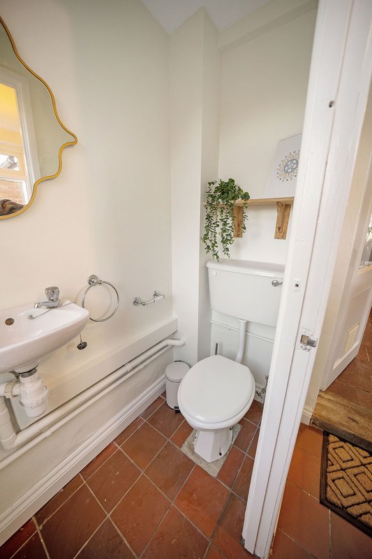 Small bathroom with toilet, sink, mirror, and decorative plant on shelf