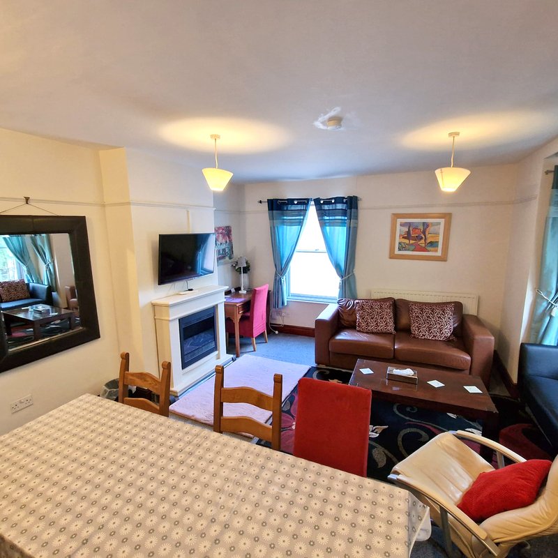 Open-plan bedroom and living area with double bed, brown sofa, fireplace, TV and window seating
