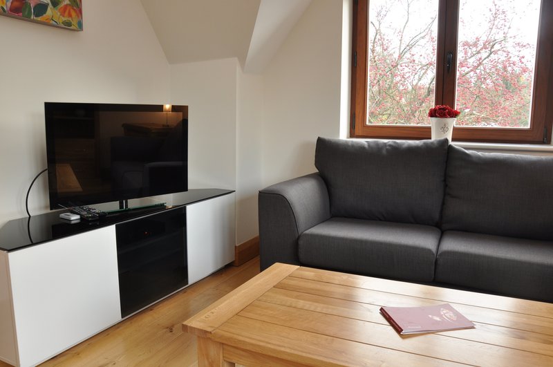 Living room with black sofa, wooden coffee table, TV on stand, and large window with autumn view