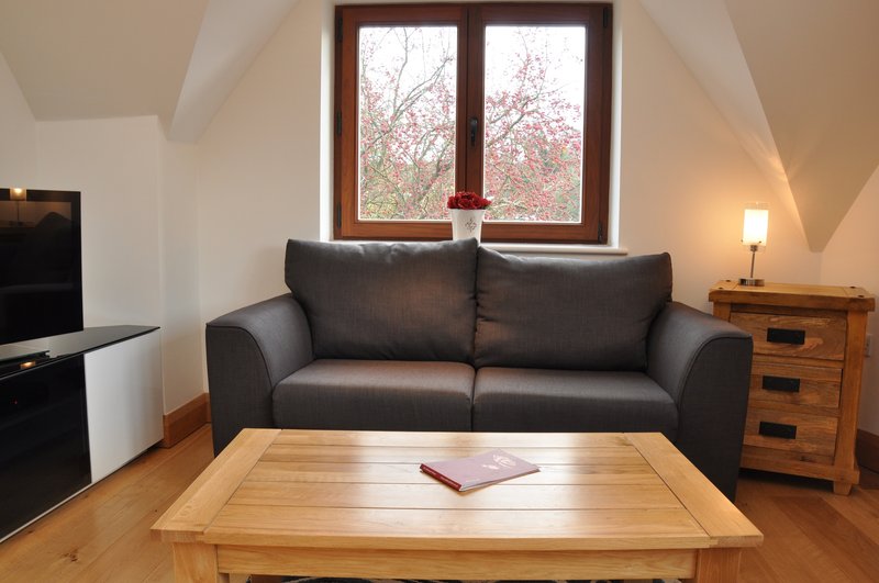 Modern living room with dark sofa, wooden coffee table, and large window overlooking trees