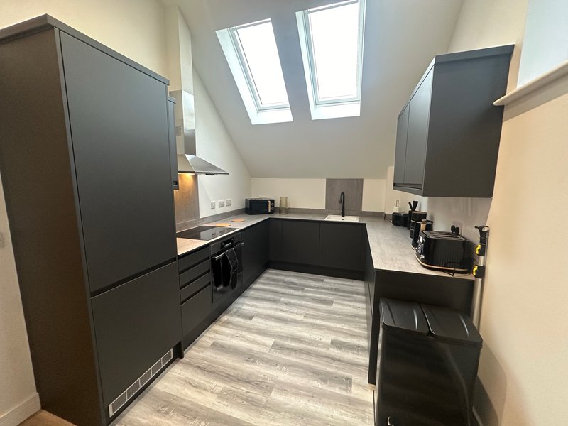 Modern kitchen with black cabinetry, skylight windows, and striped vinyl flooring