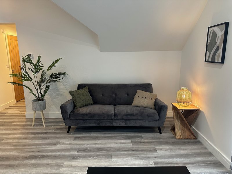 Modern living room with dark grey sofa, potted plant, wooden side table and pendant lamp
