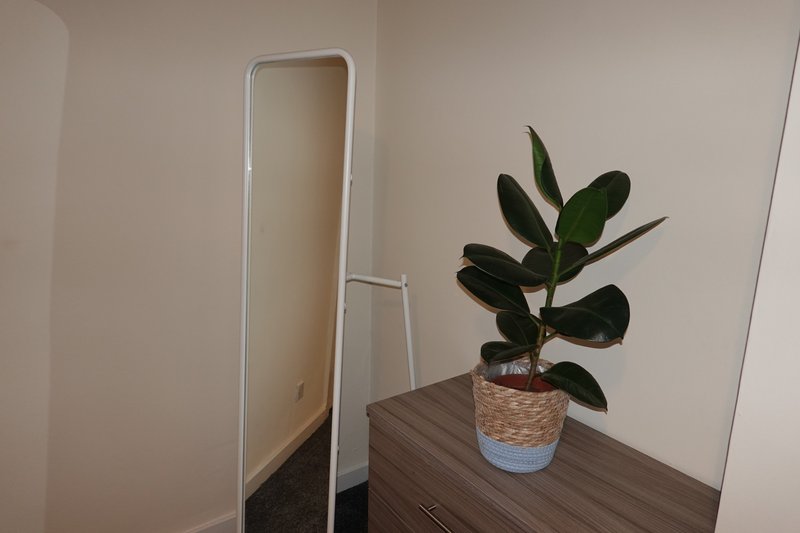 Corner of room with standing mirror, potted plant with dark leaves on wooden table