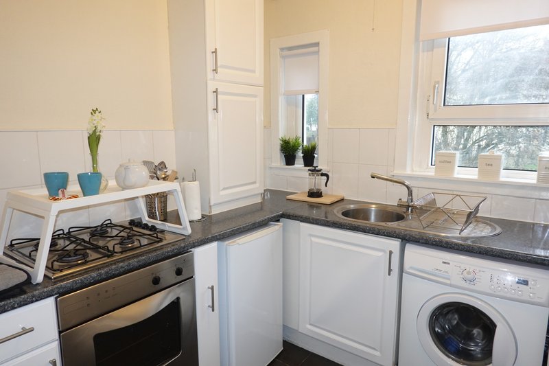Modern kitchen with white cabinetry, stainless steel appliances, dark countertops and window view
