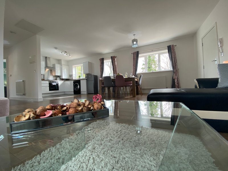 Open-plan living space with kitchen, dining area, and lounge with modern furnishings and natural light
