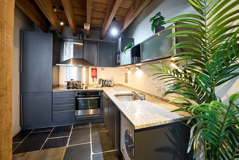 Modern kitchen with dark cabinetry, stainless steel appliances, granite countertop and potted plant