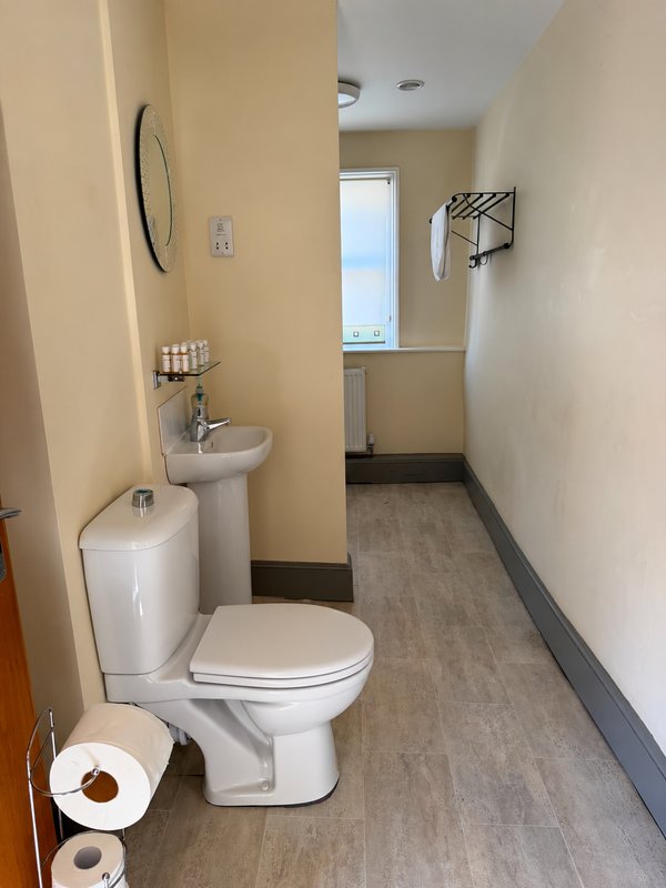 Bathroom with toilet, sink, mirror, towel rack and window, vinyl flooring
