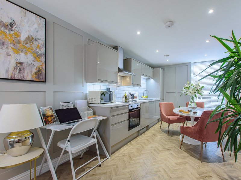 Modern open-plan kitchen and living area with white cabinetry, dining chairs, and potted plant