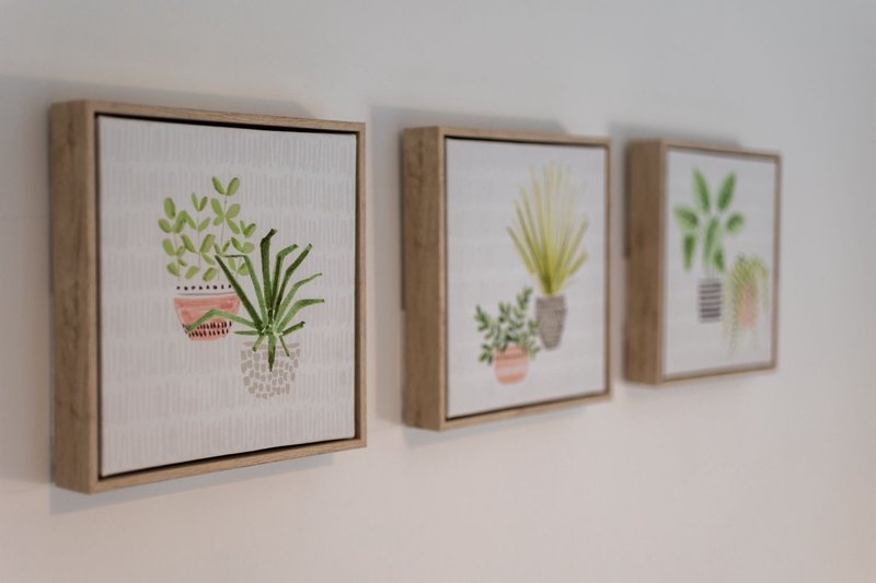 Three framed botanical plant prints with wooden frames hung on white wall