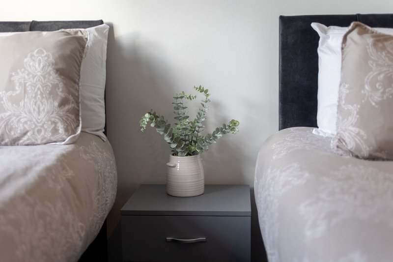 Twin beds with patterned cushions and a potted plant on bedside table between them