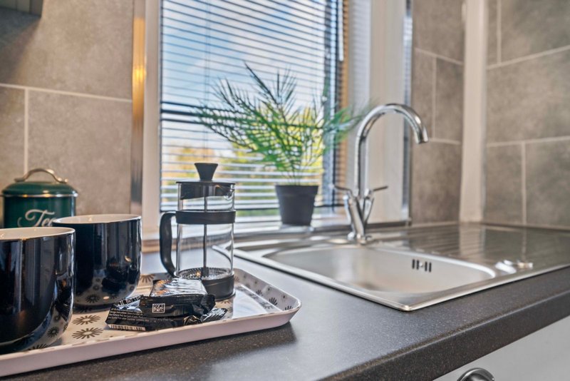 Modern kitchen with dark countertop, stainless steel sink, faucet, and potted plants by window