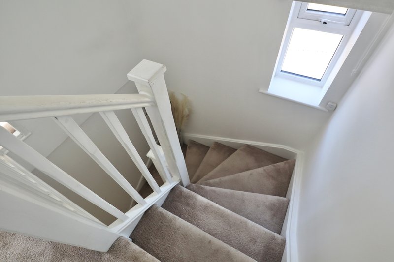 Carpeted staircase with white wooden bannister and skylight window above