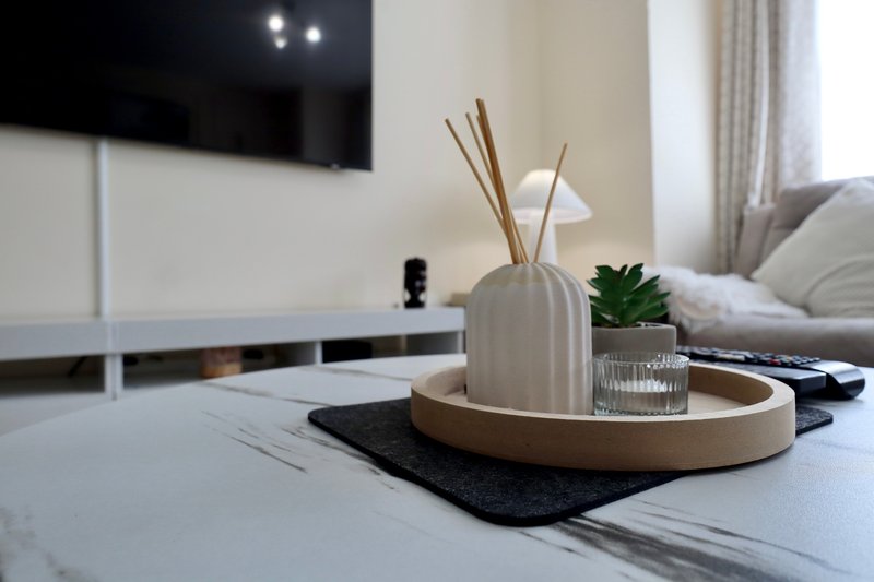 Modern living room with TV wall, white coffee table with decorative diffuser and plants