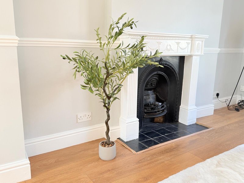 Living room with wooden floor, potted plant, fireplace with black insert, and white wall panelling
