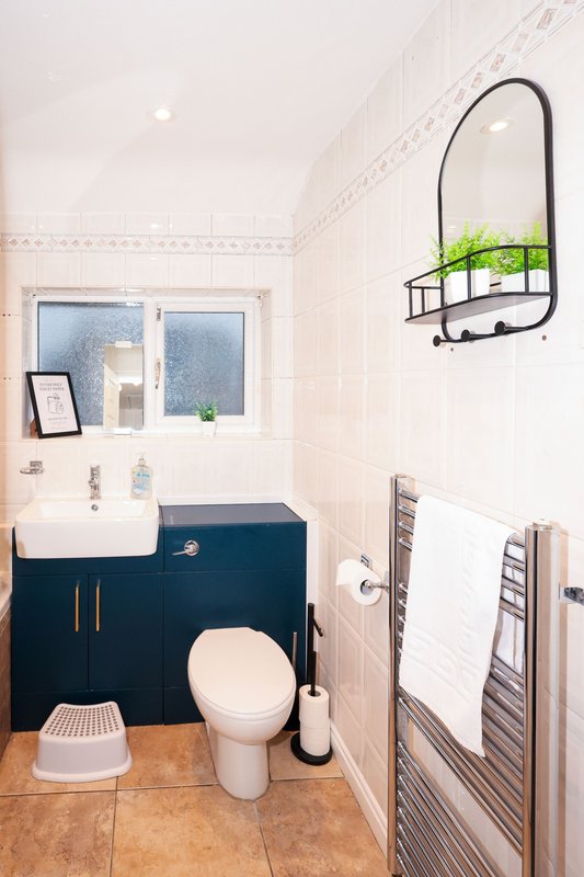 Small bathroom with navy vanity, toilet, wall-mounted mirror shelf with plant, and heated towel rail