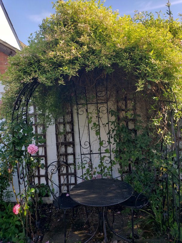 Shaded garden arbor with seating