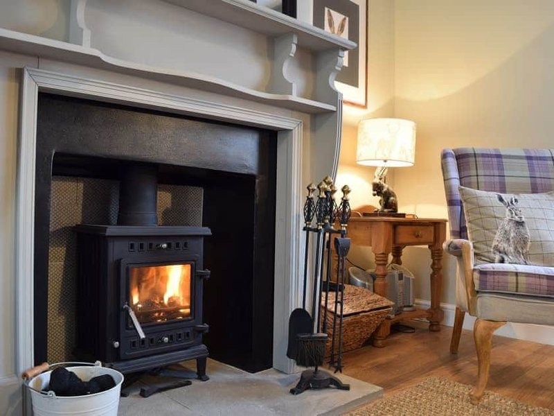 Lounge fireplace with multi fuel burner