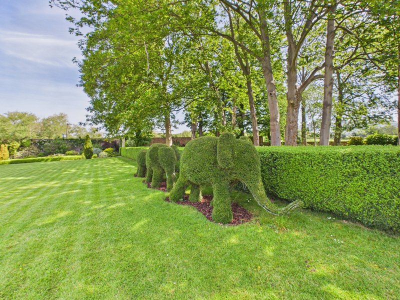 Spacious garden with manicured lawn, topiary hedges, tall trees and clear sky