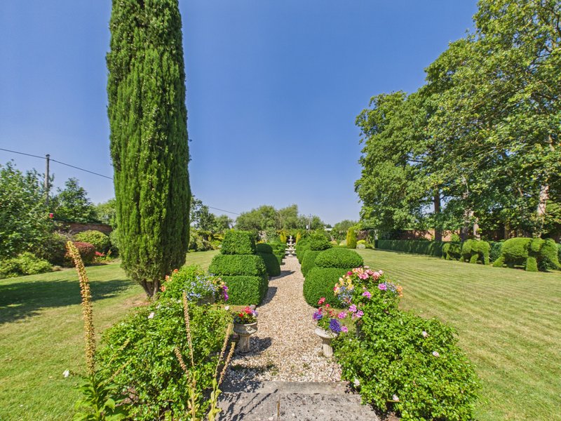 Garden pathway with flowering plants, cypress tree, and manicured lawn under clear sky