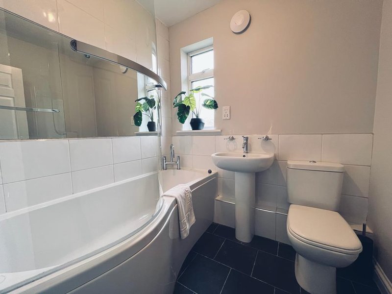 Modern bathroom with curved shower enclosure, pedestal sink, toilet, and window with plants
