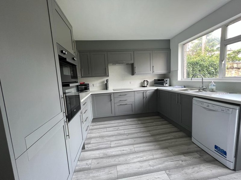 Modern kitchen with grey cabinetry, stainless steel appliances, and wood-grain flooring