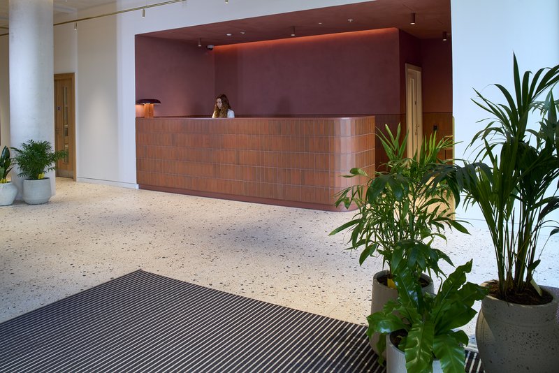 Modern reception area with wooden desk, potted plants, and polished concrete floor