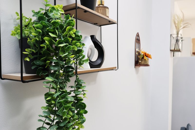 Wall-mounted shelf with potted plant, decorative vase and small ornaments