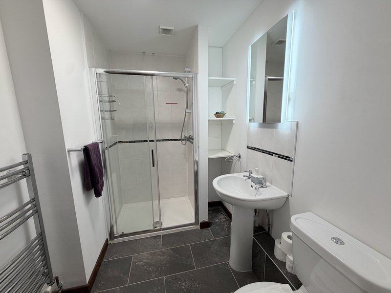 Modern bathroom with walk-in shower, pedestal sink, toilet and heated towel rail