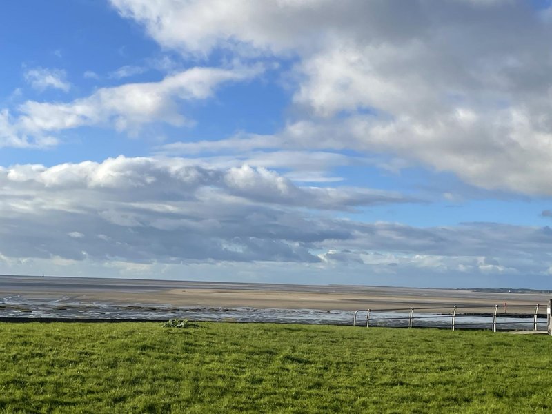 Green field with metal fence and estuary or tidal flat landscape beyond