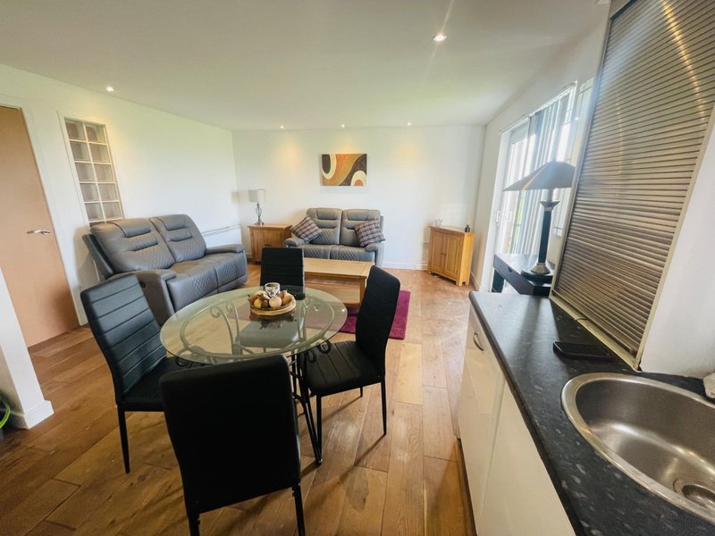 Open-plan living room with gray sofa, dining table, chairs and kitchen area with sink
