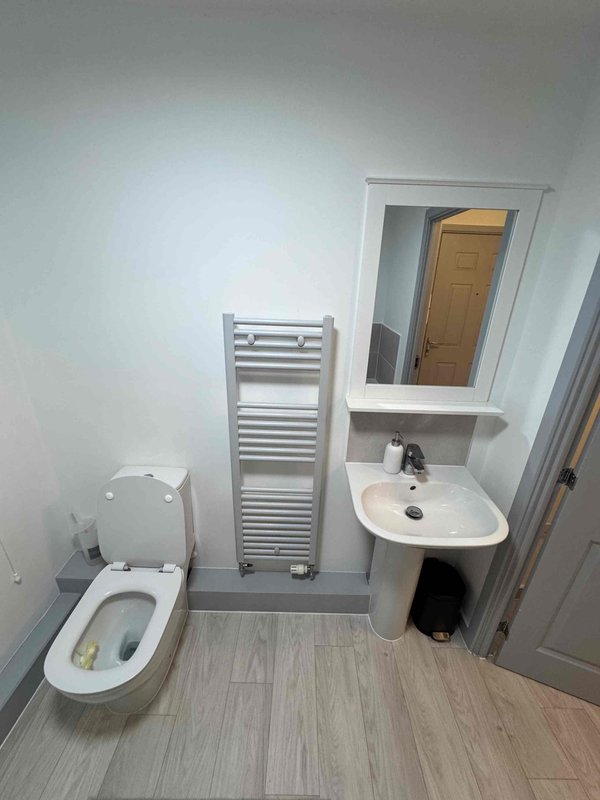 Small bathroom with toilet, pedestal sink, heated towel rail and mirror cabinet
