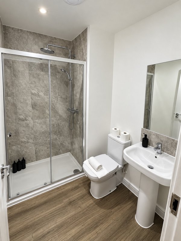 Modern bathroom with walk-in shower, toilet, pedestal sink and mirror