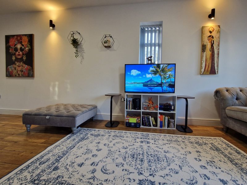 Modern living room with TV, wooden floor, patterned rug, grey seating and wall art
