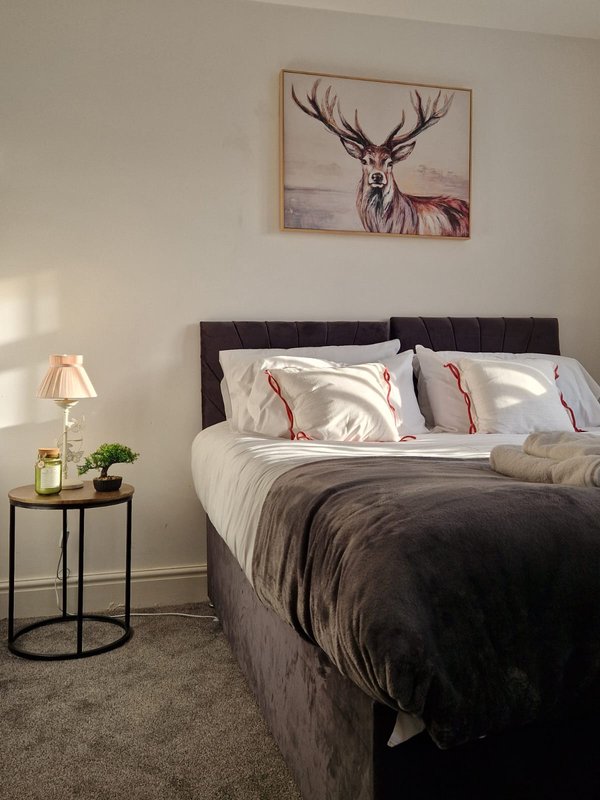 Bedroom with double bed, dark headboard, white pillows, bedside table with lamp and plant